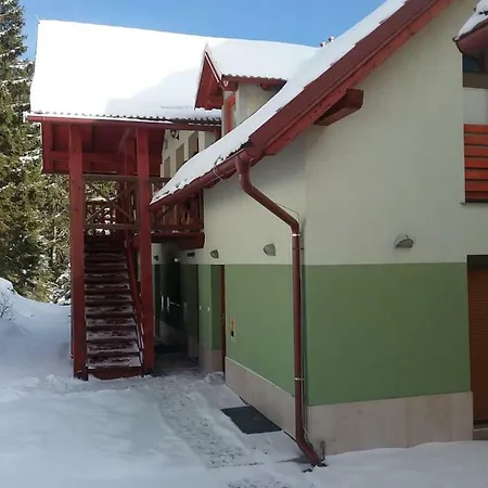 公寓 Hudinja 111 *